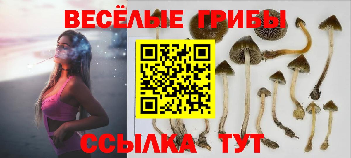 Галлюциногенные грибы MAGIC MUSHROOMS  Вход с VPN  Красноярск  Псилоцибиновые грибы Cubensis 